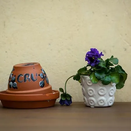 Cru Otel Tallinn